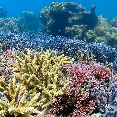 Alam Karang Hotell Gili Gede Exteriör bild
